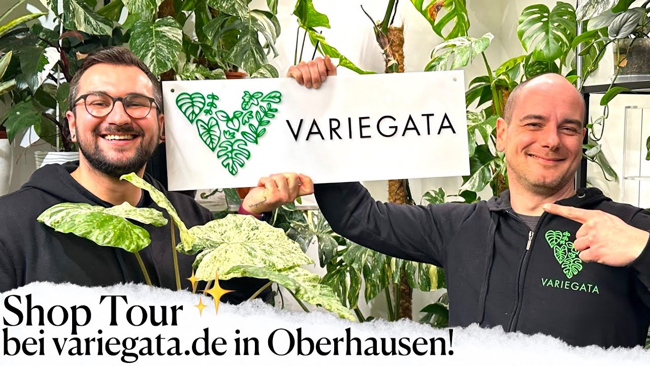 ✨Perspektive✨ beim Hofladen von Variegata.de! 🪴