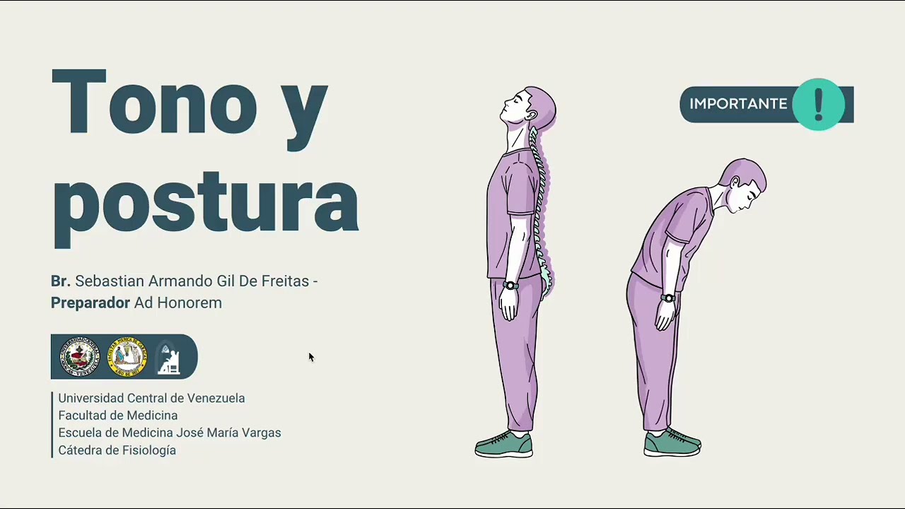 TONO Y POSTURA│Sebastian Gil