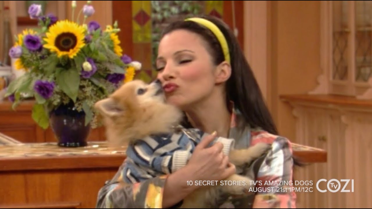 Chester  | The Nanny | TV'S AMAZING DOGS