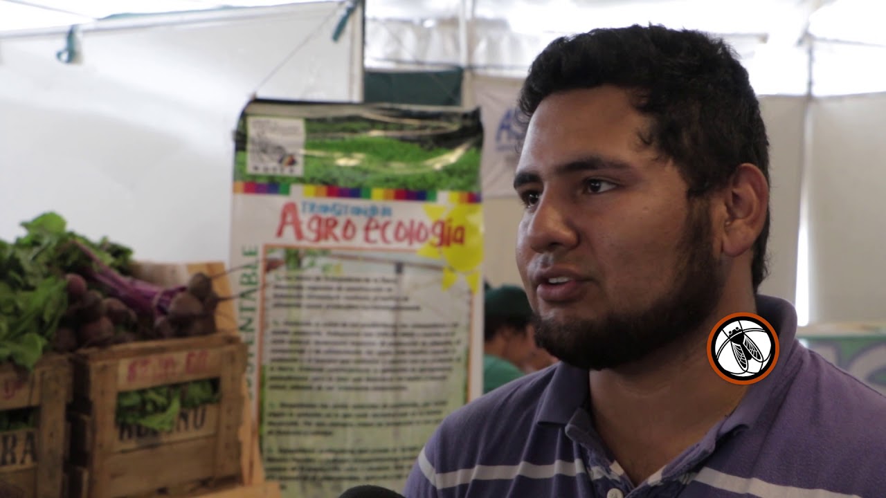 Horticultura: Fernando -  Movimiento de Trabajadores Excluídos (MTE)- Bichos de Campo