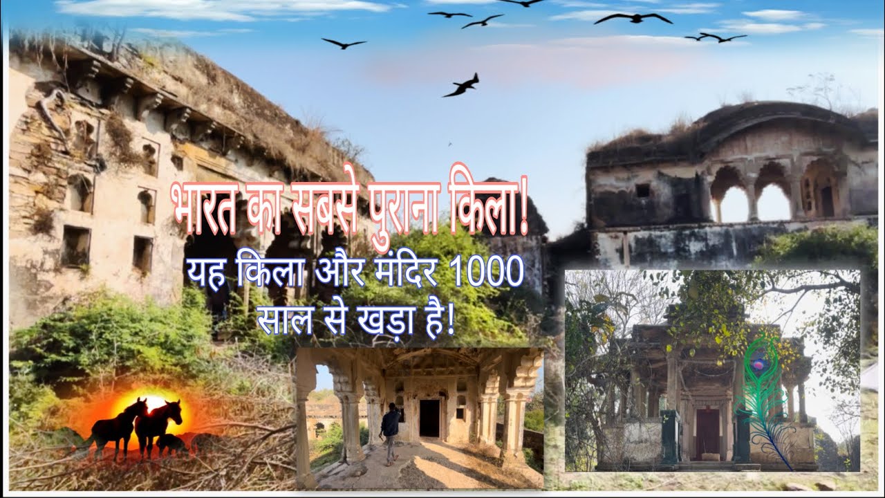 हजार साल पुराना किला, आज भी खड़ा है मजबूती से 🏰||1000 साल पहले राजा यहाँ रहता था #dailyvlog#vlog 