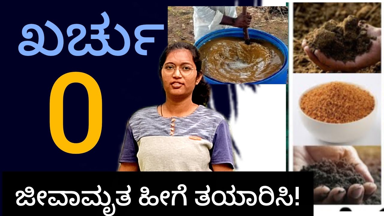 ಜೀವಾಮೃತ ಹೀಗೆ ತಯಾರಿಸಿ!#akrsolitude#jeevamrutham#agriculture#horticulture#organicfertilizer#organic 