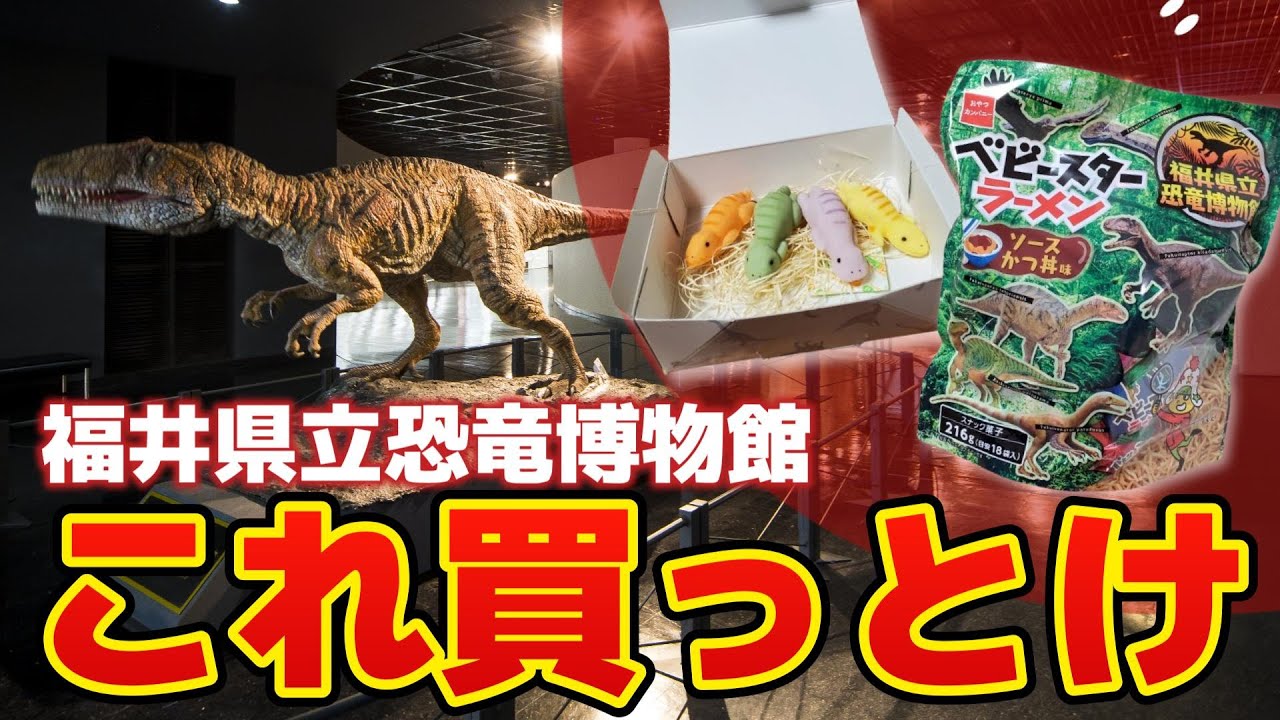 【勝山市】最新イチオシ！恐竜博物館でおみやげコレ買っとけ！【福井県立恐竜博物館】