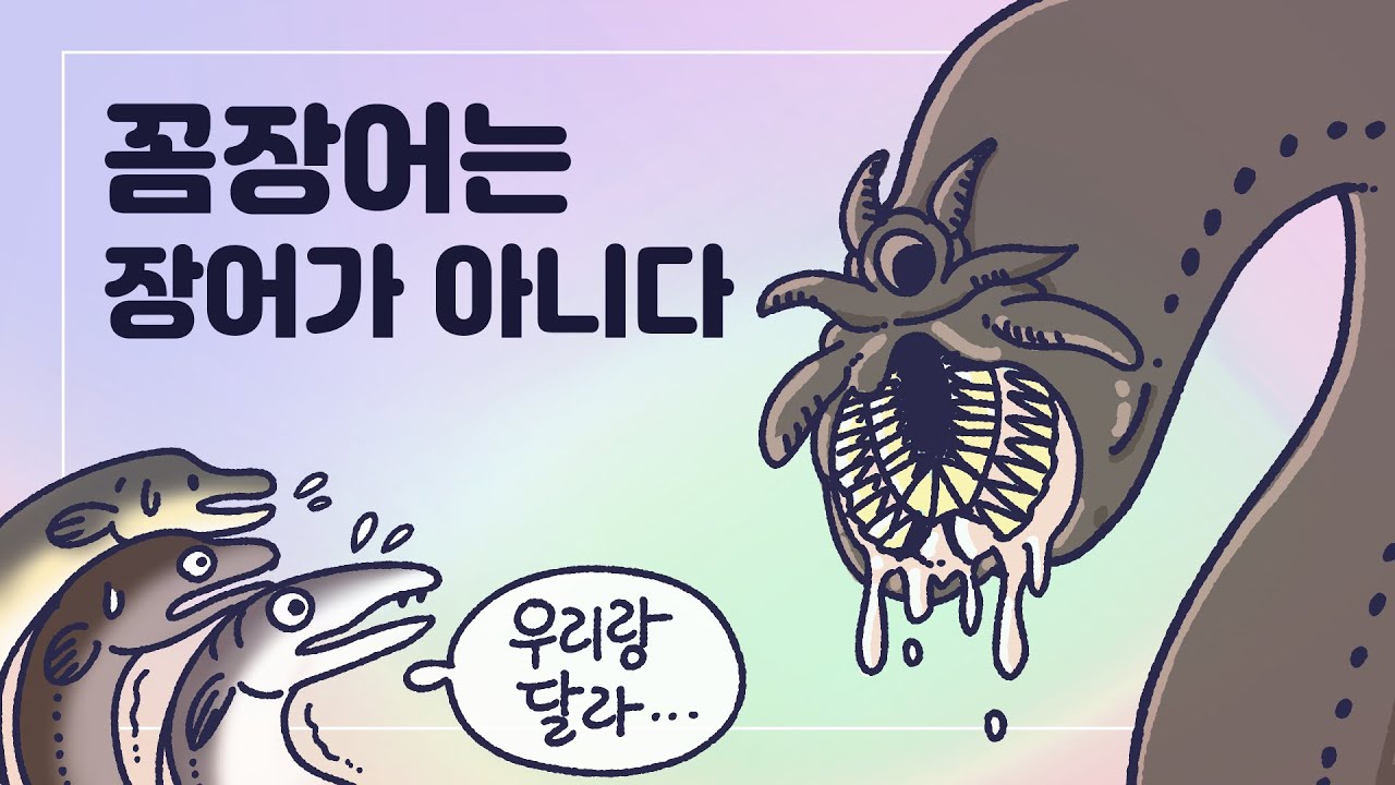 [3분차이] 꼼장어로 지갑을 만든다고요? | 먹장어 |  곰장어