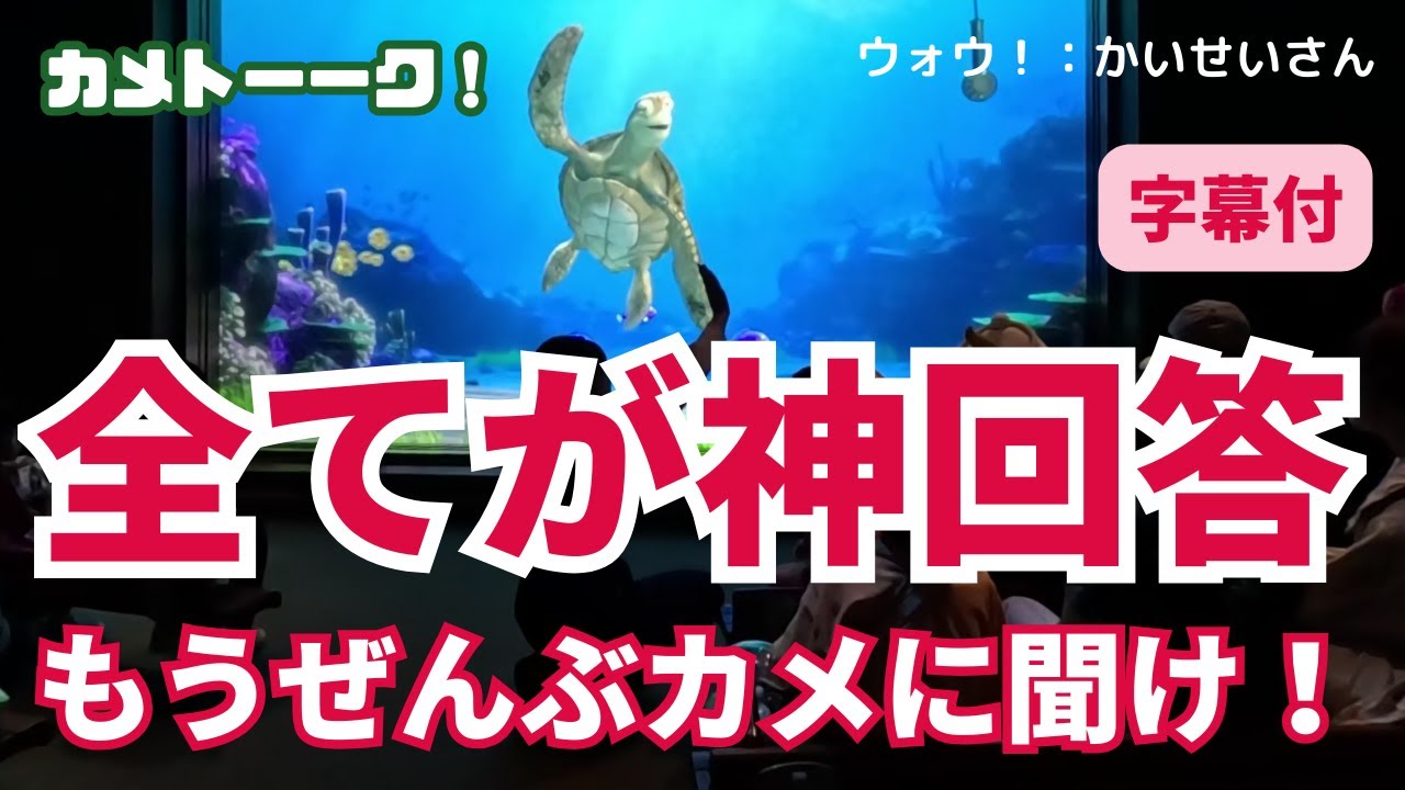 【字幕付】すべてが神回答～もうぜんぶカメに聞け！【東京ディズニーシー・タートルトーク】