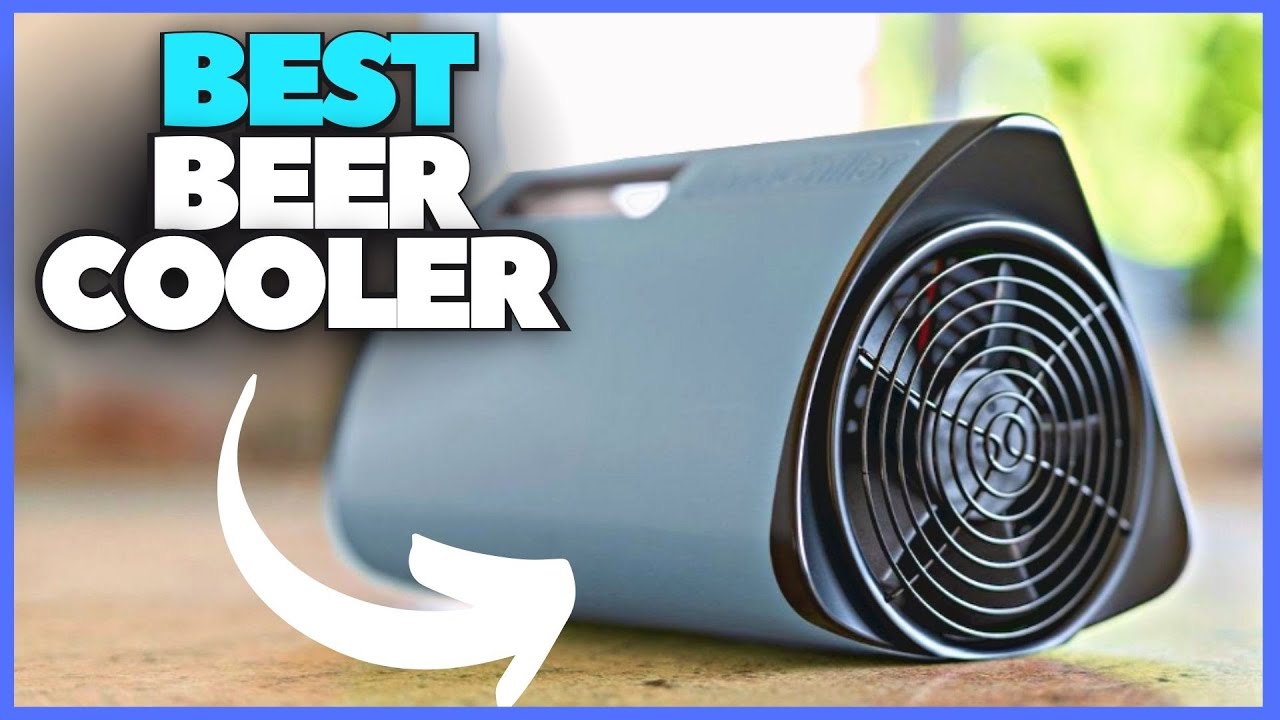 BEST BEER COOLER BOX IN THE FRIDGE 2022