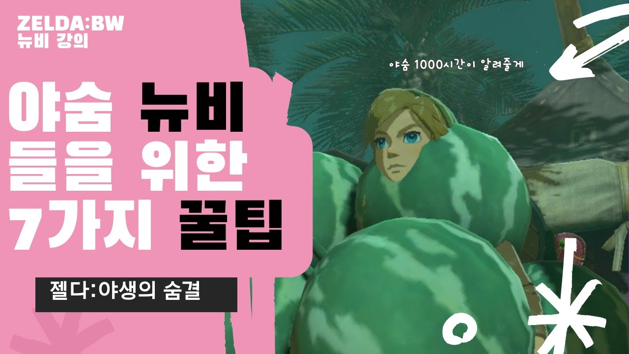 (젤다 야숨) 야숨을 지금 시작하려는 사람들 주목! 뉴비들이 알면 좋은 7가지 팁들