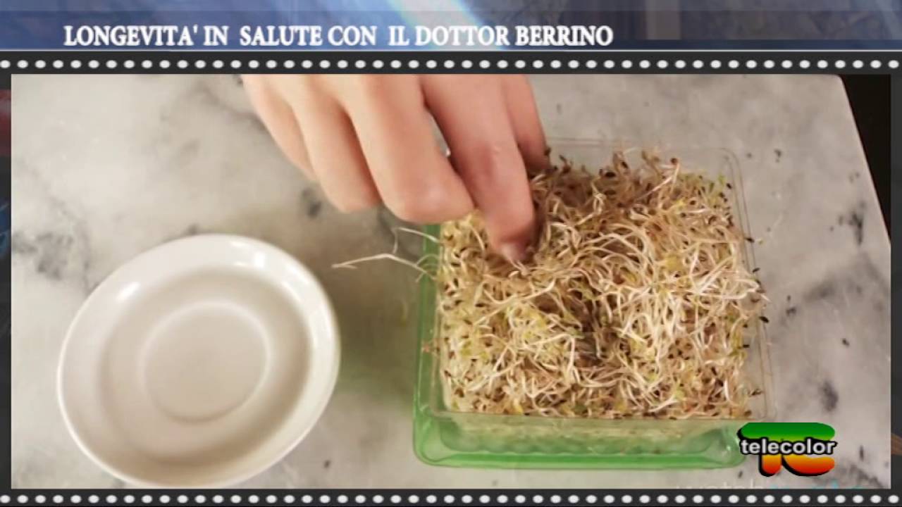 Longevità in salute con il Dottor Berrino - Speciale Medicina Amica - 14.09.2016
