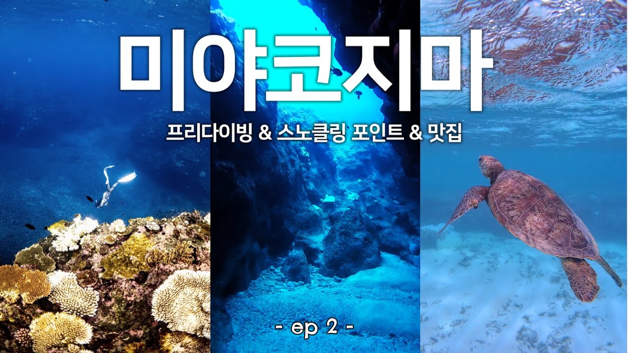 미야코지마 여행🐠2편 프리다이빙 스노클링 포인트 추천(미야코 맛집,여행정보 포함)