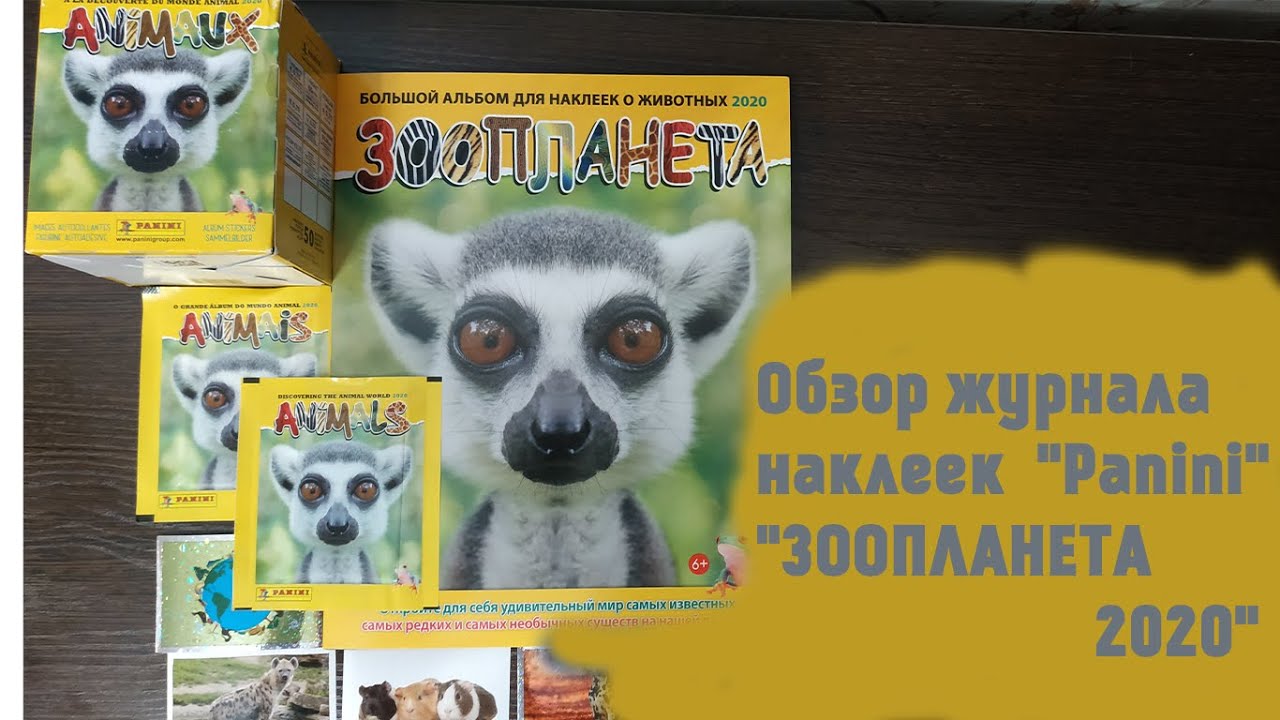 Обзор коллекции наклеек 