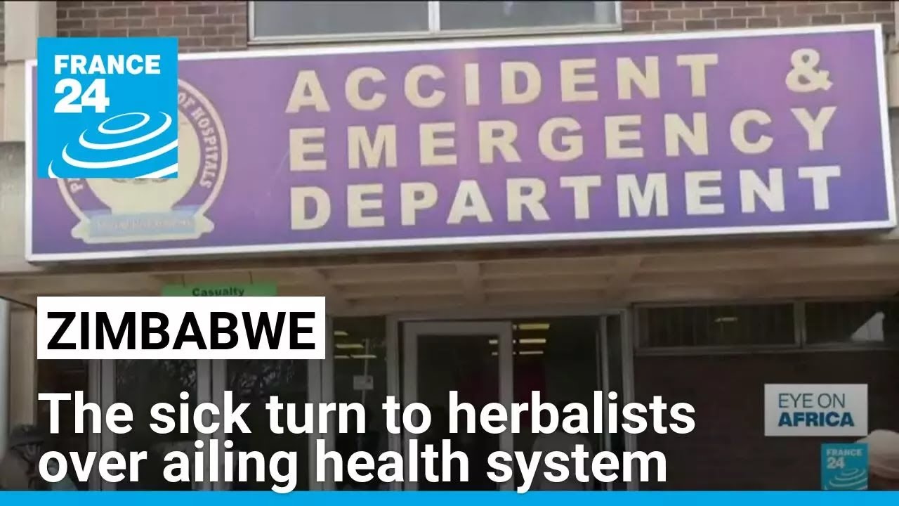 Zimbabwe's sick turn to herbalists over ailing health system • FRANCE 24 English