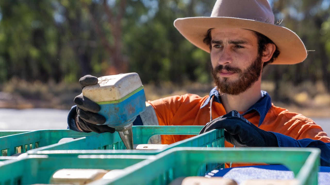 Data Driven Discoveries in the Adavale Basin