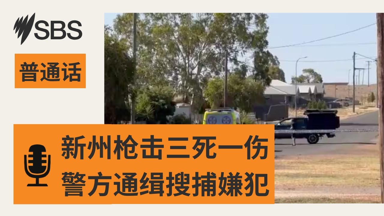 【SBS新闻快报】新州枪击案三死一伤 警方发出通缉令大规模搜捕 | SBS Mandarin - SBS 普通话电台