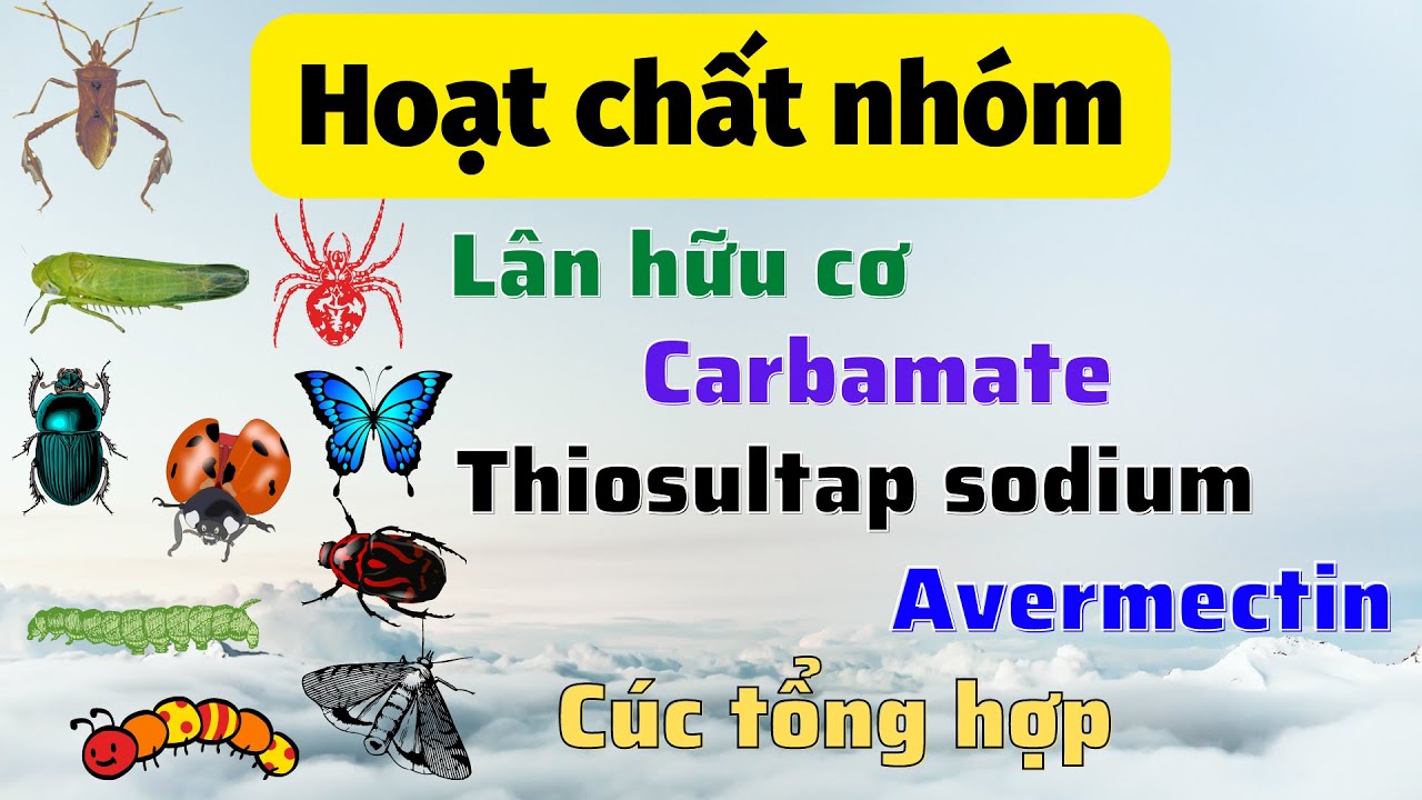 Tổng hợp thông tin về hoạt chất nhóm: Lân hữu cơ, carbamate, Thiosultap sodium, cúc và  avermectin