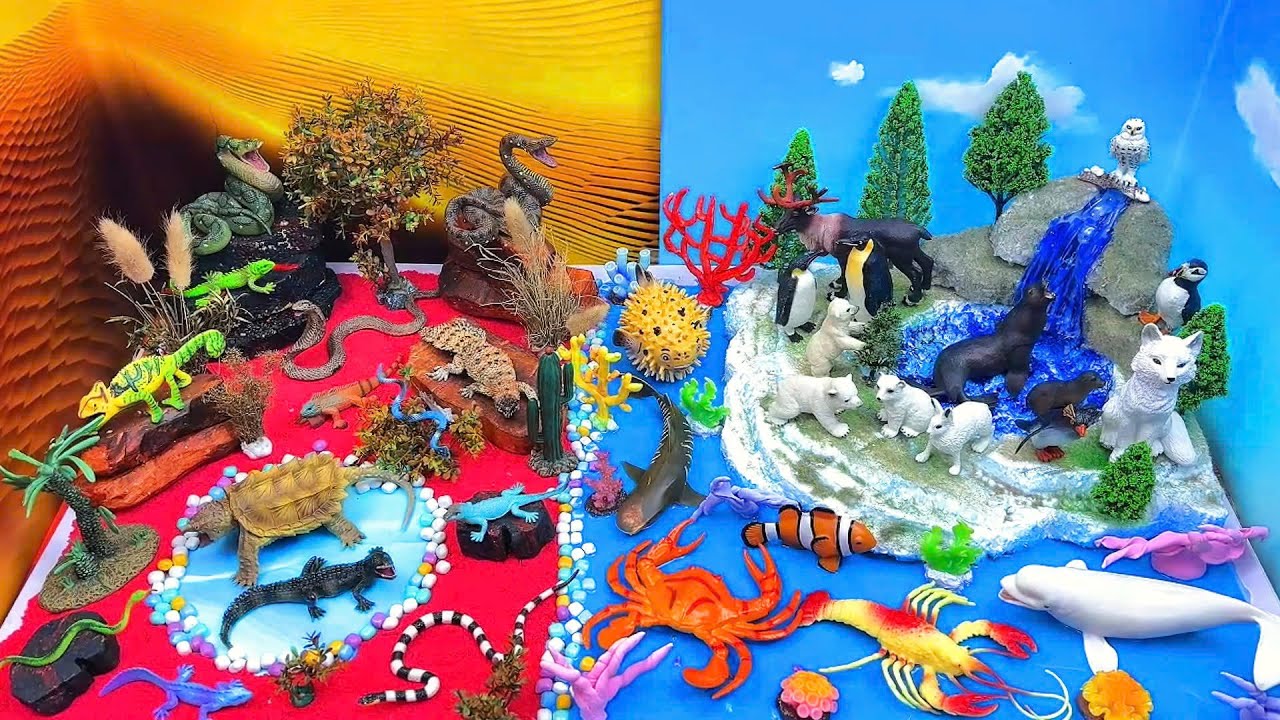 Исследуйте животных пустыни, океана и Арктики 🌵🌊❄️🌈 | Диорама