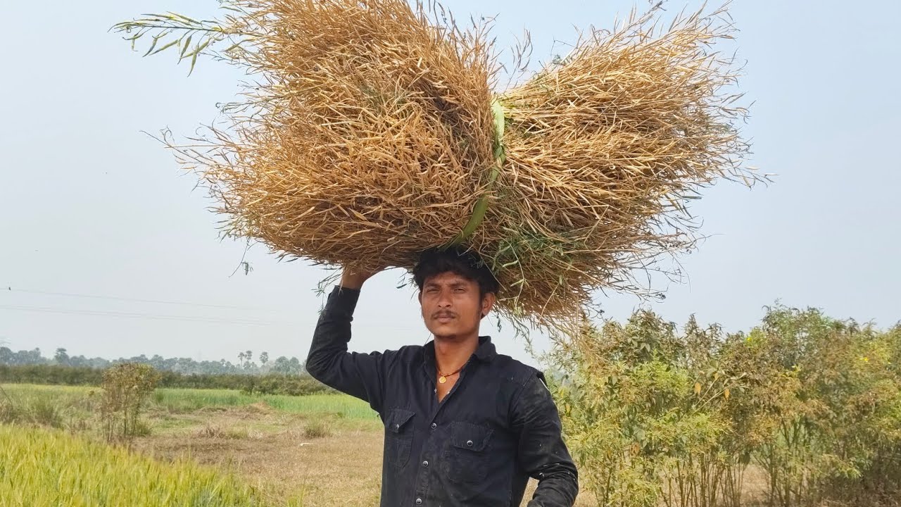 गांव का ब्लॉगिंग @Santoshpagal_4u 