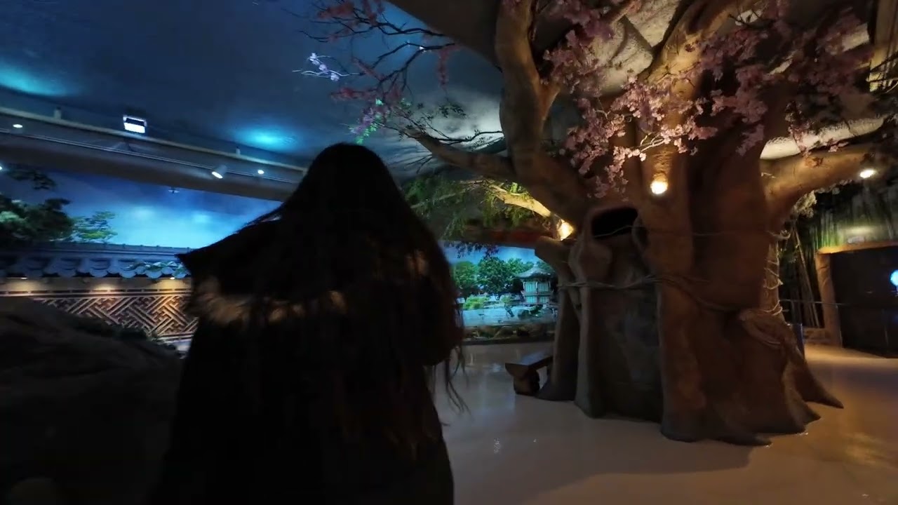 Starfield Library & Seoul Aquarium | Seoul Vacation