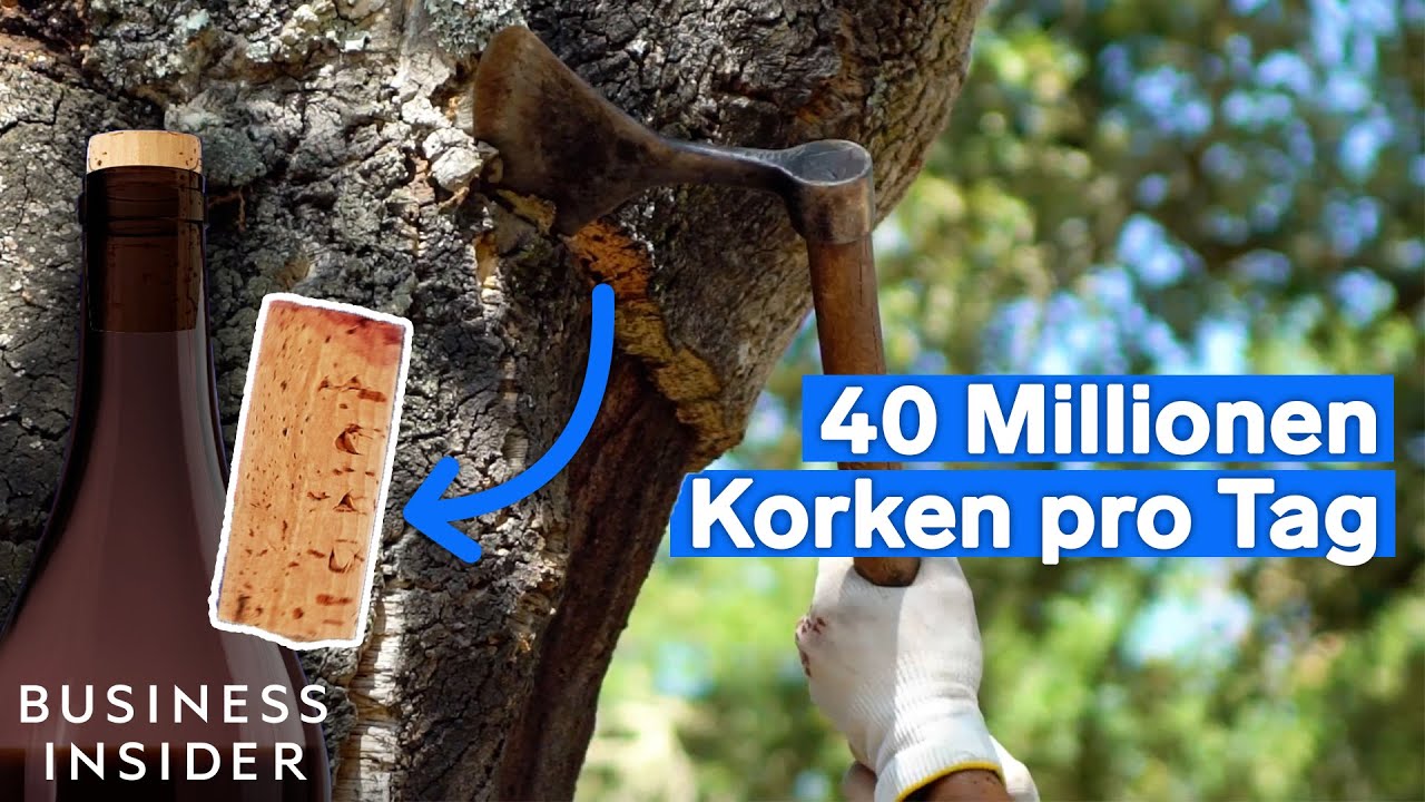 Hier werden edle Weinkorken aus alten portugiesischen Eichen hergestellt