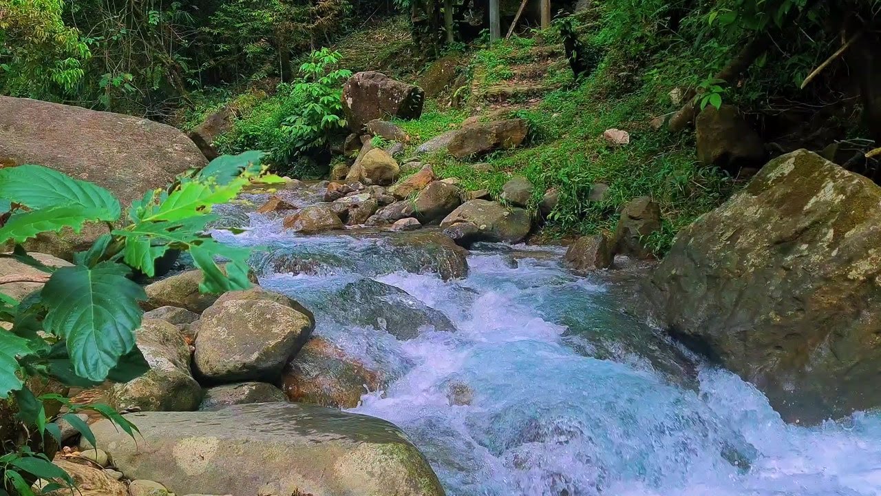 Peaceful River at Night – Moonlit Flowing Water Ambience for Restful, Deep Sleep