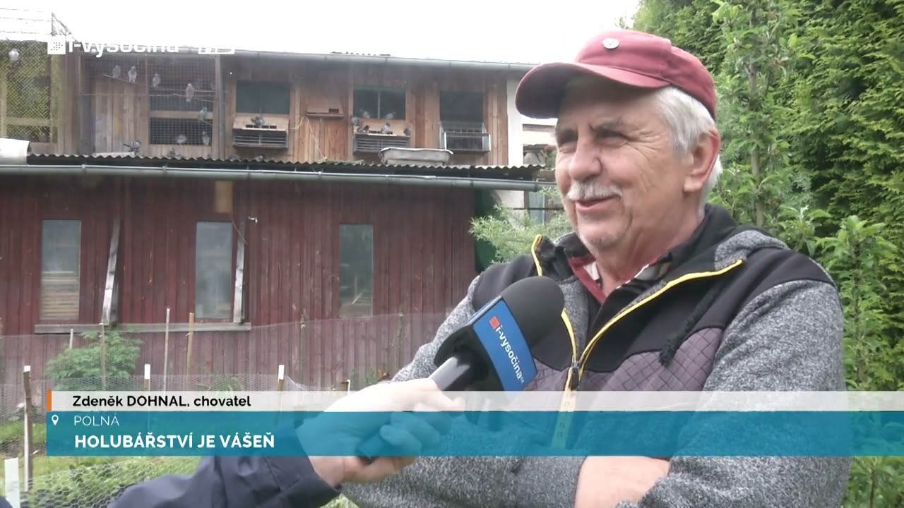 Holubářství je vášeň