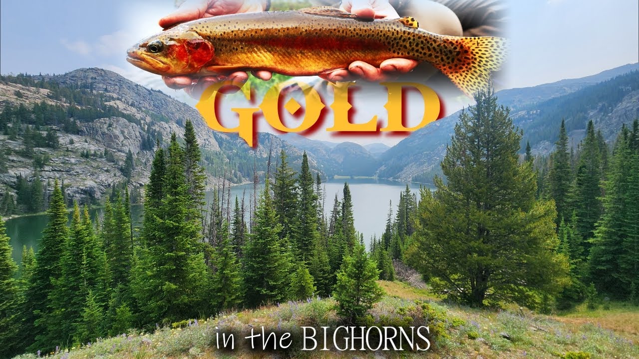 ONE WEEK DEEP | FLY FISHING the BIGHORNS