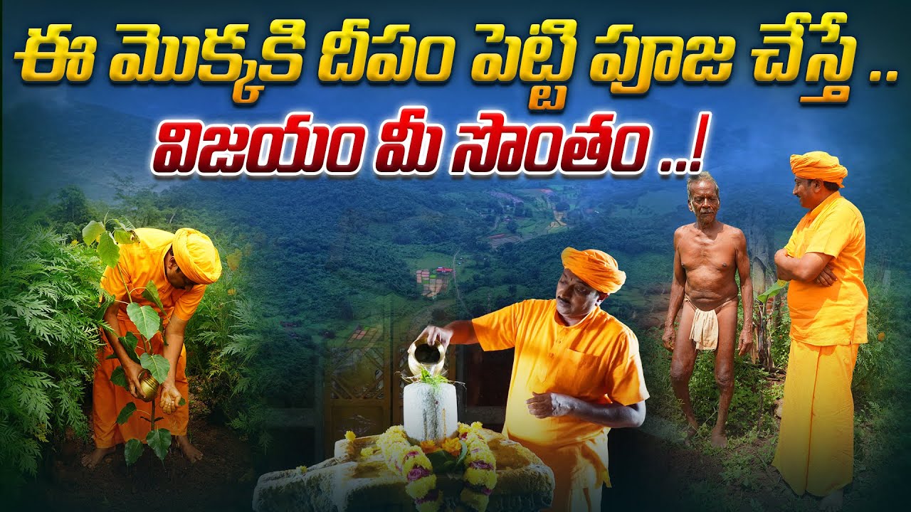 ఈ మొక్కకి దీపంపెట్టి పూజ చేస్తే విజయం మీ సొంతం ..! | Dr. Ravivarma | AYUR MANTRA