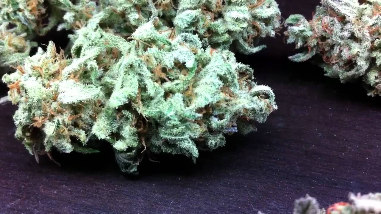 Chernobyl and Cheesequake