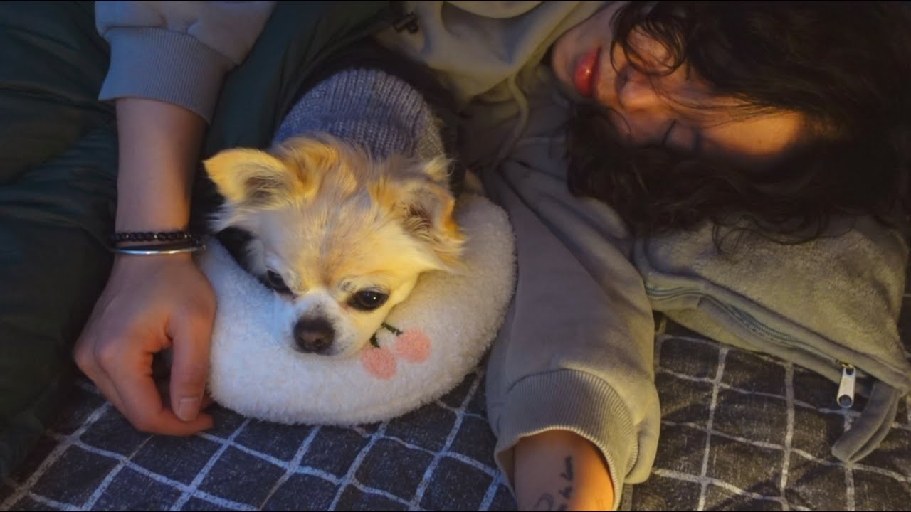 나밖에모르는 가나디와 가을캠핑🐶 I 투다리st김치우동🍲I 강아지캠핑메뉴 I 반려견동반캠핑 I 유식물원캠핑장