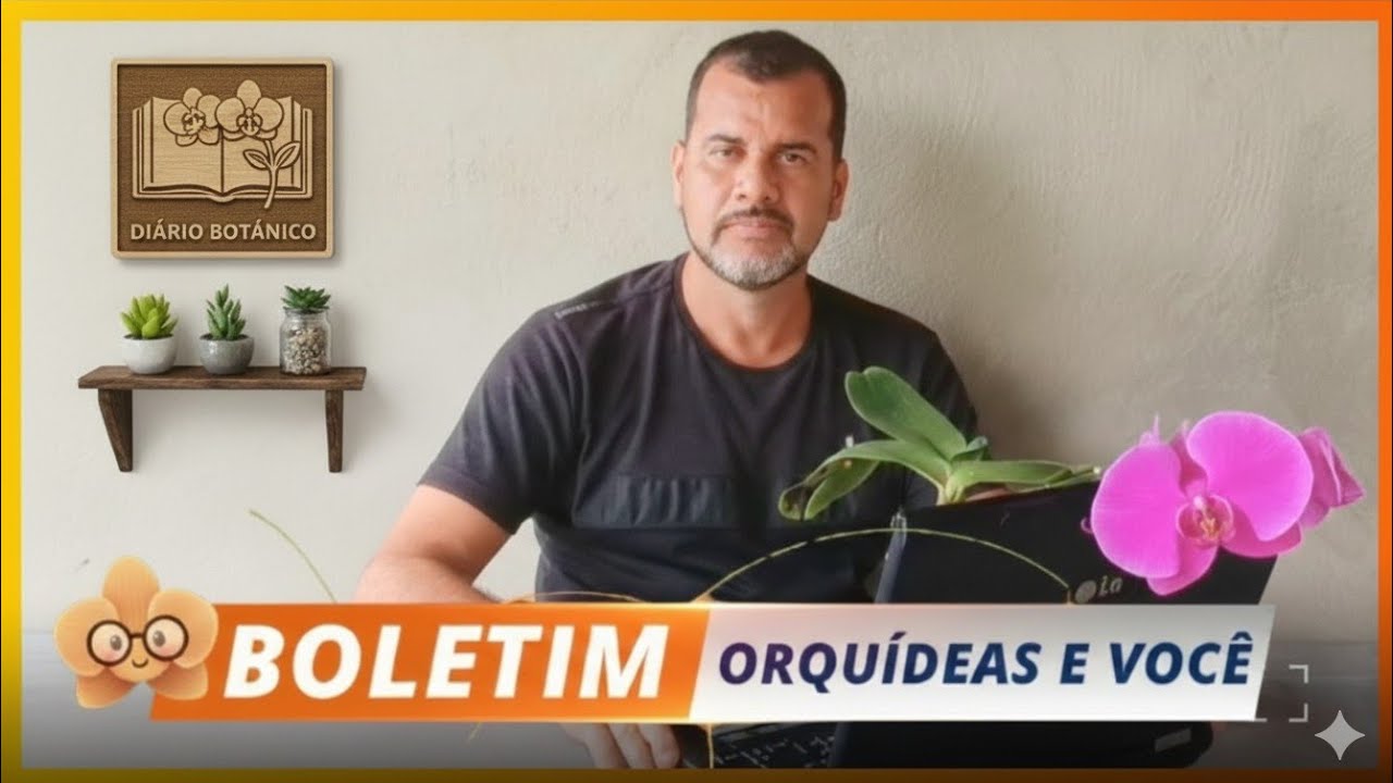 BOLETIM ORQUÍDEAS: VOCÊ ESTÁ AFOGANDO SUA PLANTA!