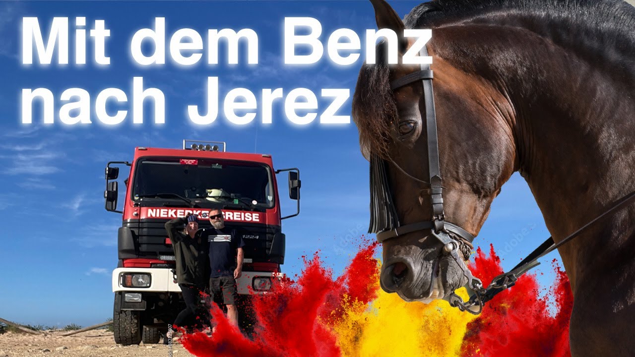 Von Cádiz nach Jerez de la Frontera: Flamingos, Churros & Hofreitschule 🚒