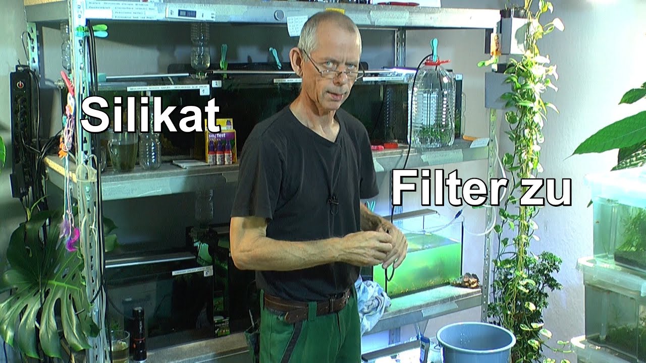 Silikat zu viel im Becken? Filter sitzt wieder zu und nu? Die Lösungen stehen fest.