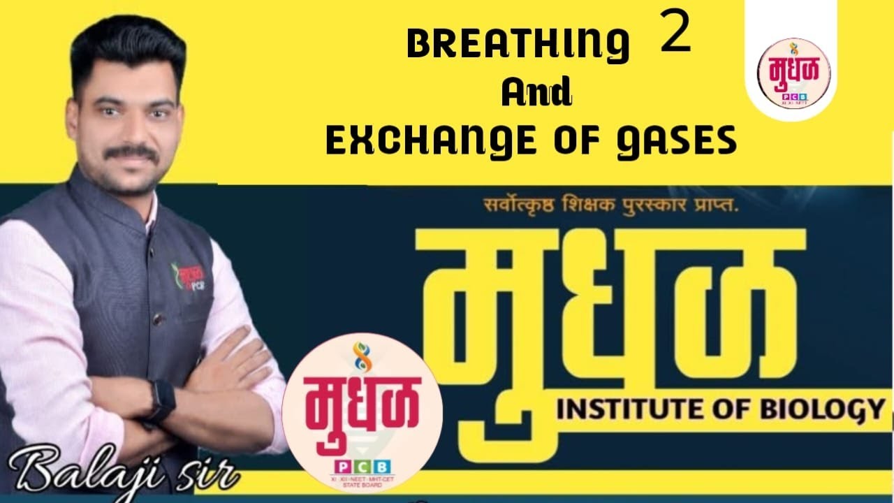 BREATHING AND EXCHANGE OF GASES--2