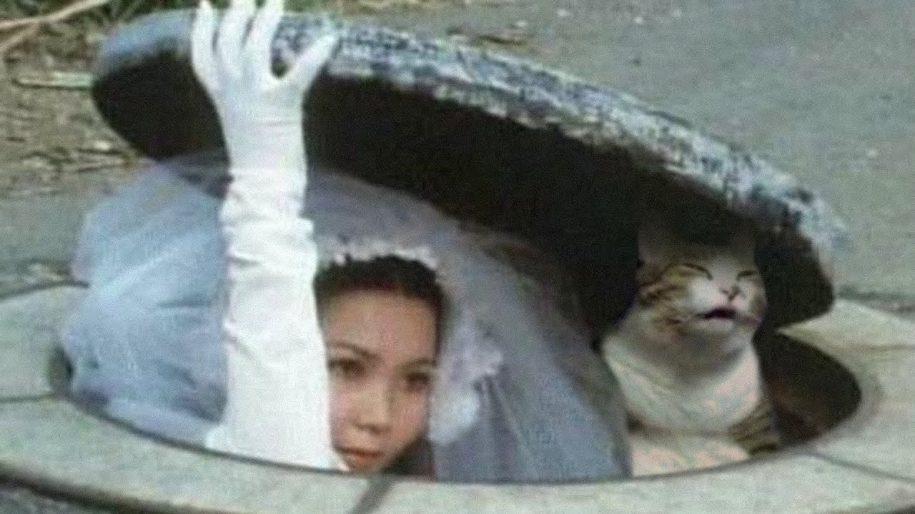 You laugh you win a trip to the sewers