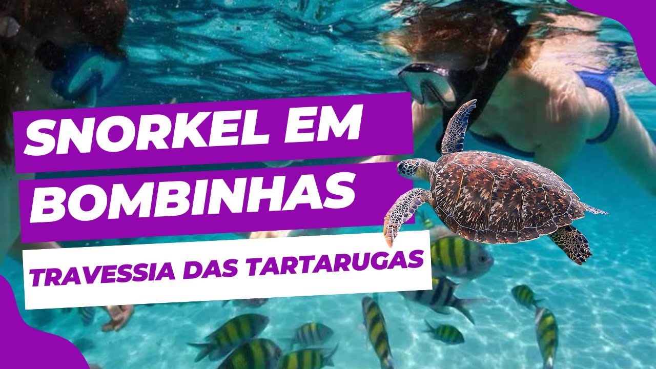 Snorkel em Bombinhas - Travessia das tartarugas