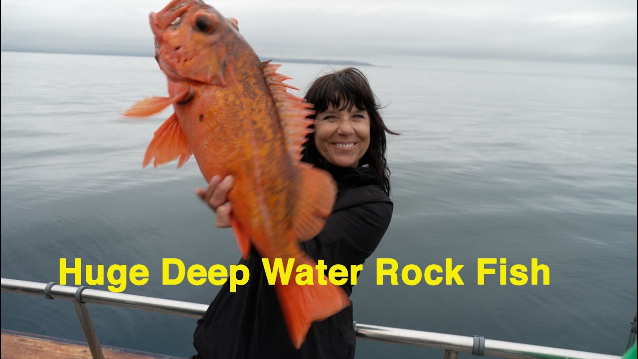 Глубоководная рыбалка со скал на Stardust