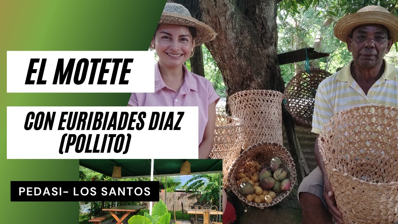 Motete en Pedasí
