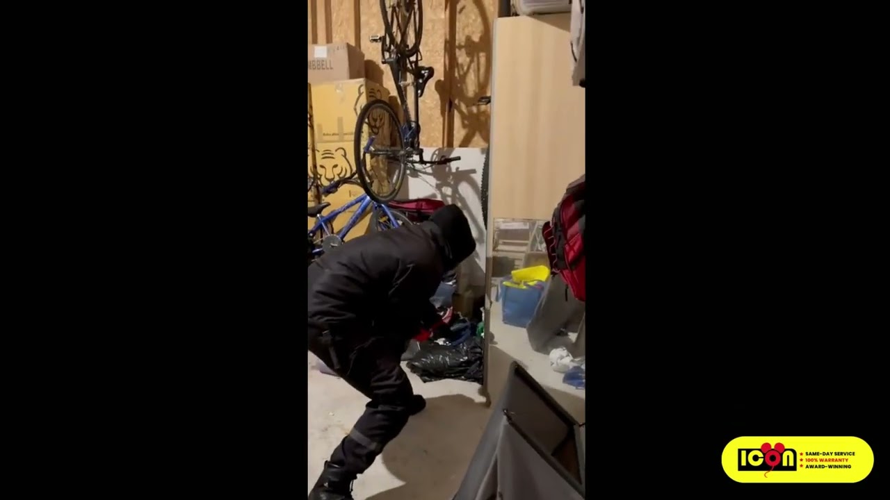 Fast & Humane Raccoon Removal From Garage | Icon Pest Technician Uses Catch Pole & Safe Cage Trap