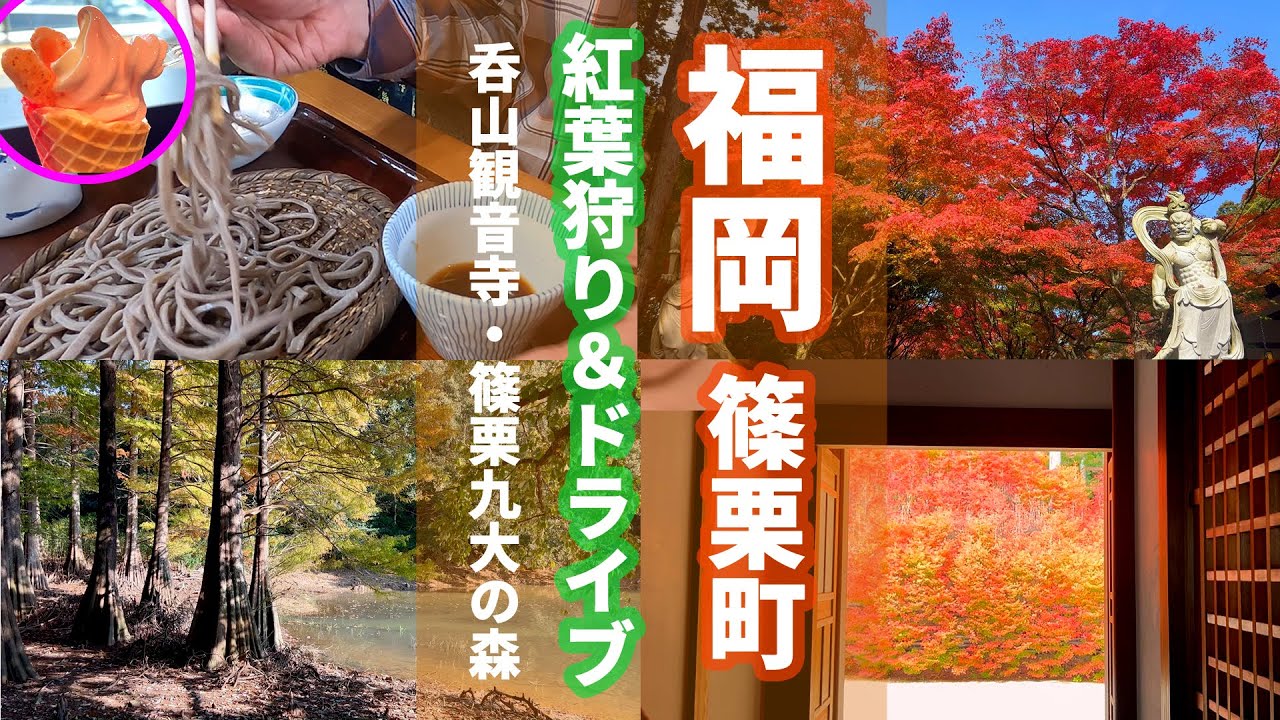 #53 秋の福岡県篠栗町de紅葉狩り🍁呑山観音寺から篠栗九大の森へ🎵十割そばの名店も【50代夫婦ドライブ】