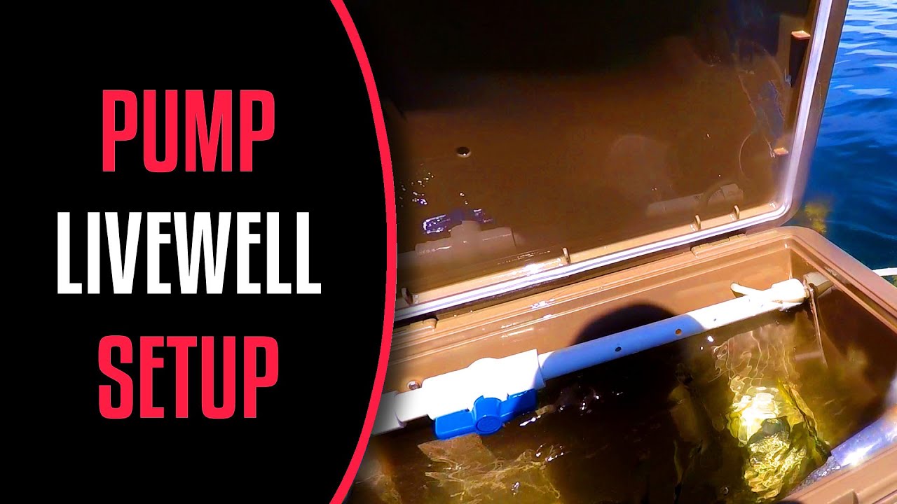 LIVEWELL SETUP with single PUMP 🐟