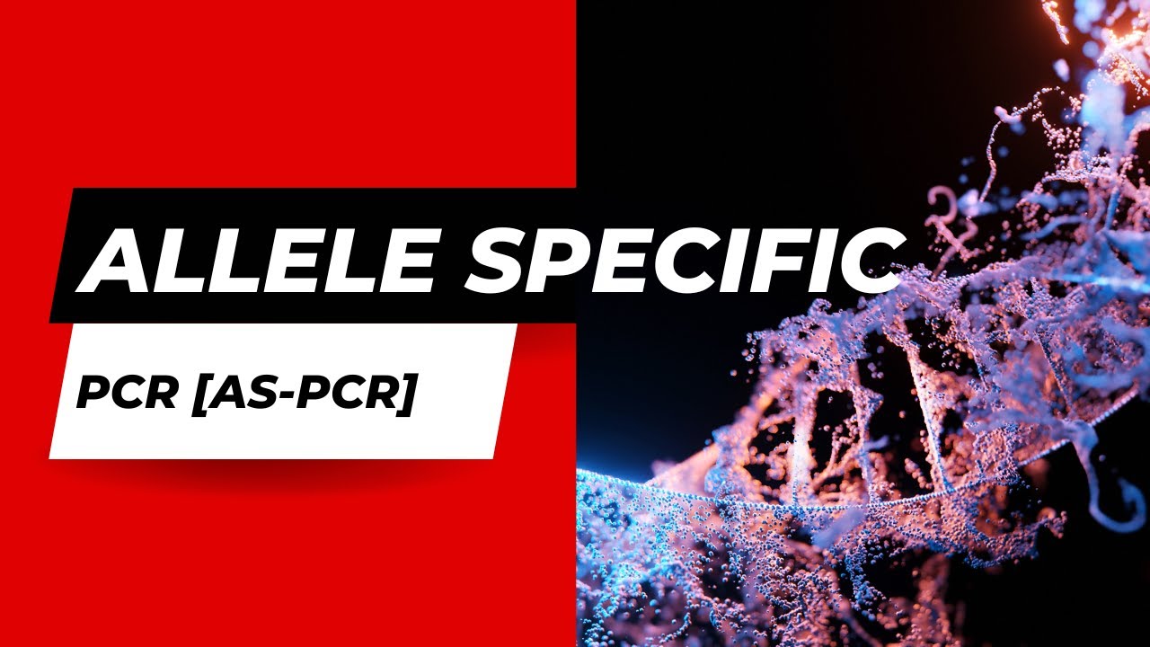 Allele Specific PCR (AS-PCR) / Amplification Refractory Mutation System (ARMS) - Genotyping PCR