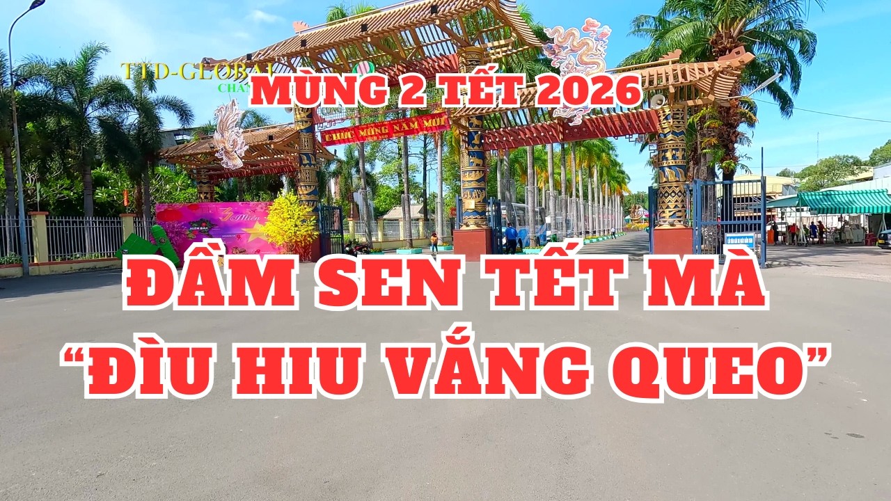 Mùng 2 Tết 2026 chạy vòng Q.10 và Q. 11 khu Đầm Sen ra sao