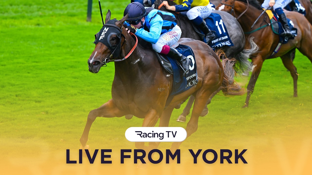 Ebor Festival Day 3 Tips | Nunthorpe & Gimcrack | Mark Your Card | Racing TV