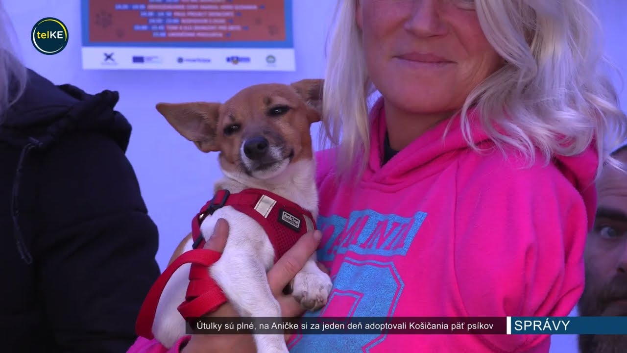 Útulky su plné, päť Košičanov si počas jedného dňa adoptovalo útulkáčov