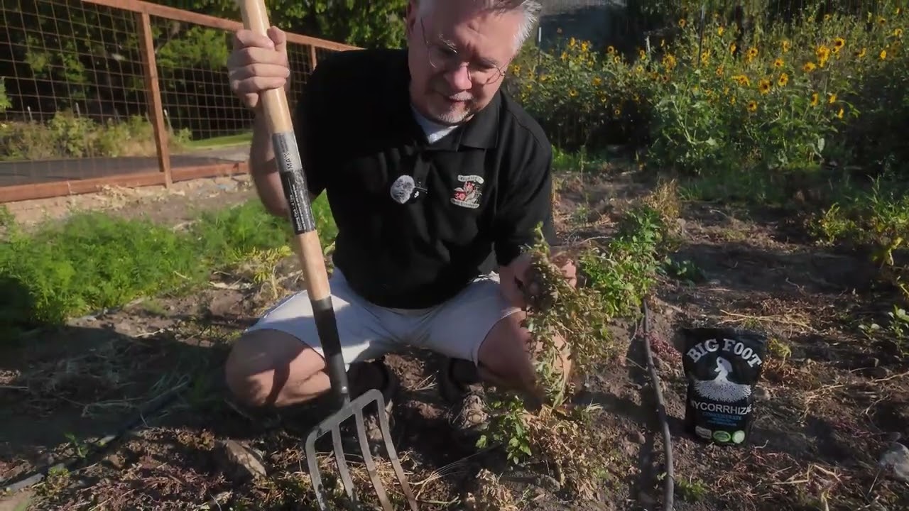 Harvesting Vegetables is the Best Part of Gardening