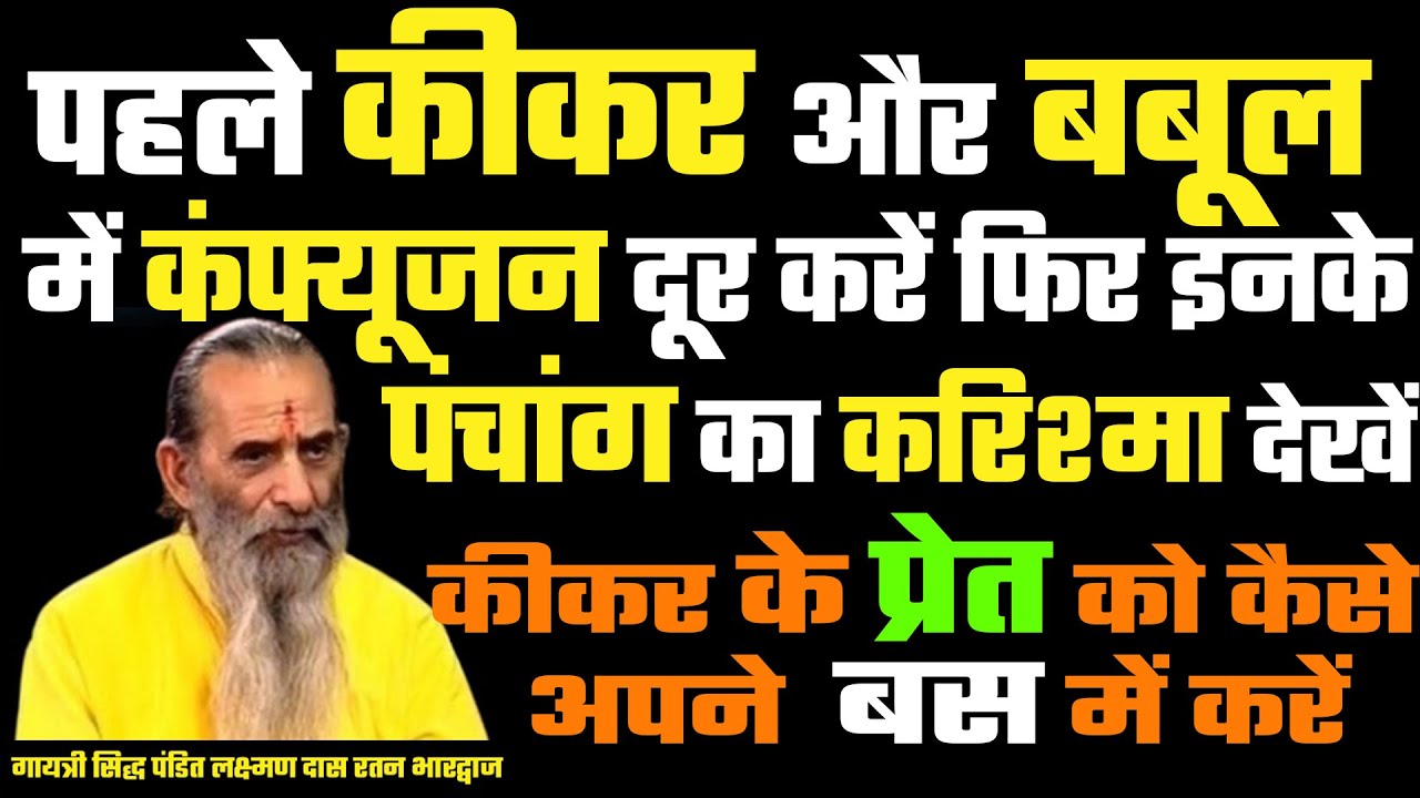 पहले कीकर और बबूल में कंफ्यूजन दूर करें फिर इनके पंचांग का करिश्मा
