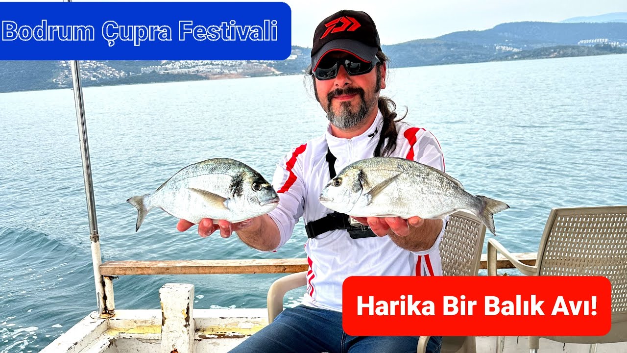 BODRUM ÇUPRA FESTİVALİ ! HARİKA BİR BALIK AVI.  #balıkavı #cupra #fishing #muğla #bodrum