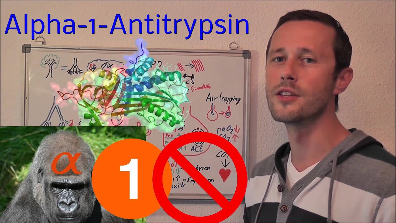 Was passiert bei der COPD? (Pathophysiologie)