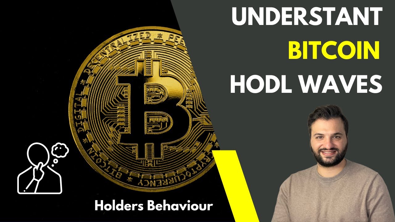Bitcoin HODL Waves: Insights into Holders Behaviour