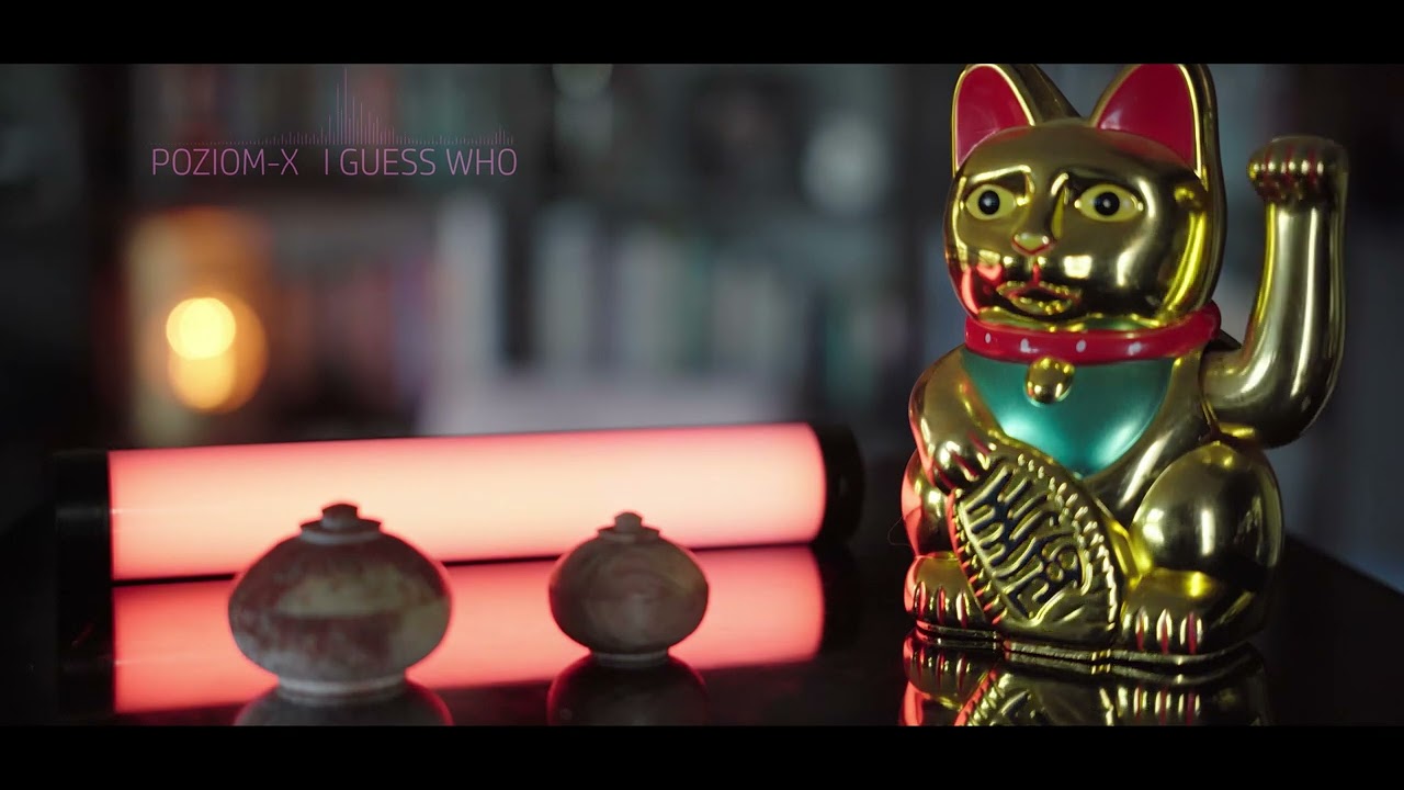 Poziom-X - GUESS WHO - tecHouse