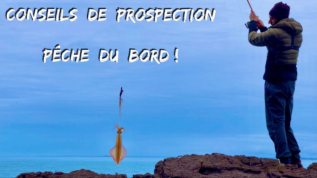 PROSPECTION d’un nouveau spot à CALAMAR + Je MANGE un BAR après plus de 6 ans sans le faire…